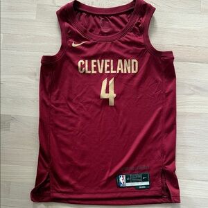 Nike Men's Burgundy Cleveland Jersey